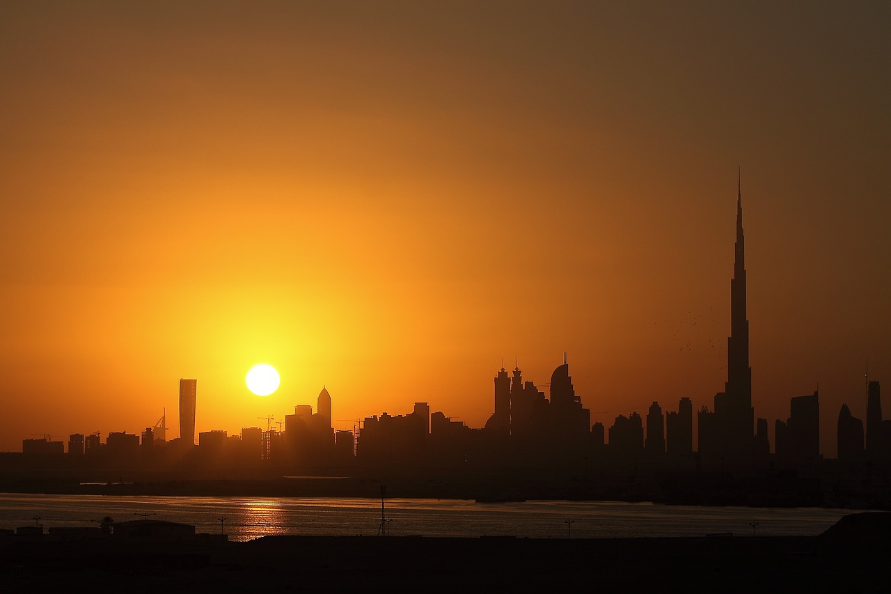 night, dubai, nature-2295094.jpg